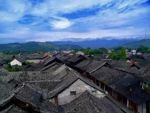 新场镇三林崩瓜怎么吃,多味食法，解锁夏日清新美味