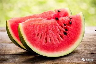 合肥高二吃瓜,吃瓜群众揭秘校园热点事件