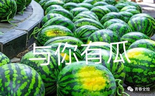 合肥高二吃瓜,吃瓜群众揭秘校园热点事件