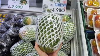 韩国吃瓜群众贴,揭秘娱乐圈最新八卦风云