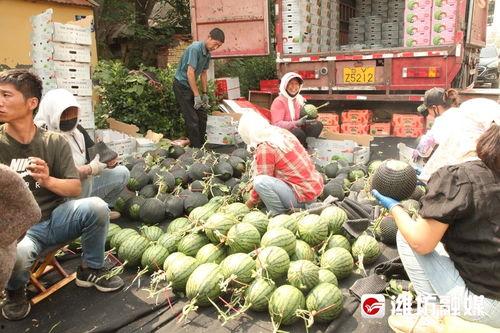 前线吃瓜是什么意思,揭秘网络热点的幕后真相