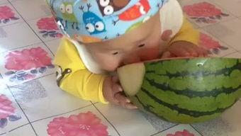 宝宝吃瓜搞笑,萌态搞笑，萌化你的心