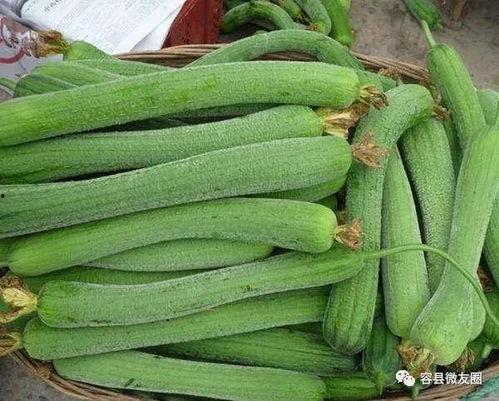 换乘恋爱3吃瓜,吃瓜群众揭秘明星们的甜蜜与心酸