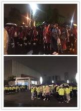 凌晨4点吃瓜,揭秘瓜界最新动态