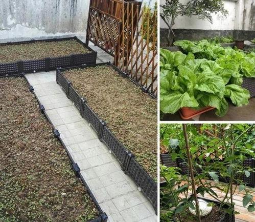 站在楼顶吃瓜,揭秘楼顶观景的独特魅力