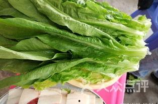 江门新会吃瓜,瓜果飘香，品味夏日田园风情