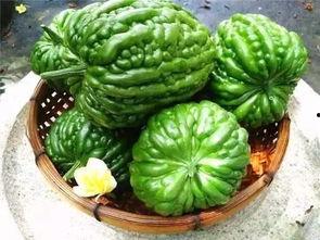 江门新会吃瓜,瓜果飘香，品味夏日田园风情