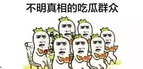 吃瓜群众玫瑰难过,玫瑰难过背后的故事