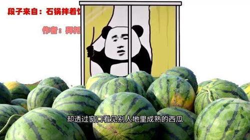 吃瓜表哥,网络红人的崛起与争议