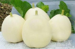 吃方瓜忌什么,吃方瓜时需注意的饮食禁忌