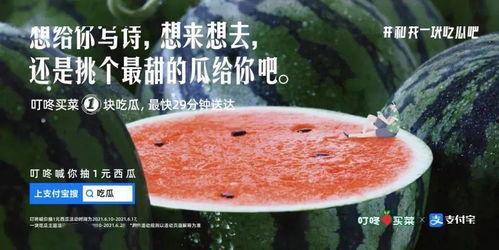 形容人吃瓜文案,揭秘那些年我们一起吃过的瓜