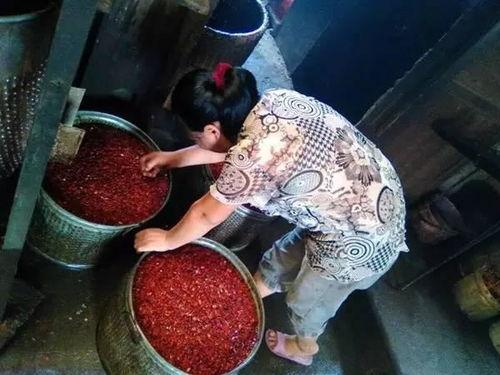 吃瓜视频前世今生