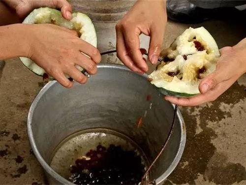 吃瓜视频前世今生