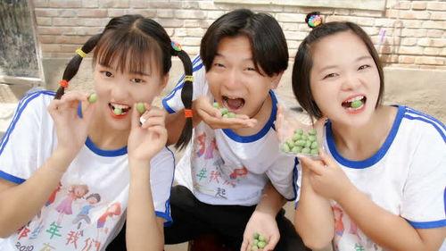 幽默吃瓜小短剧,吃瓜小短剧里的欢乐盛宴