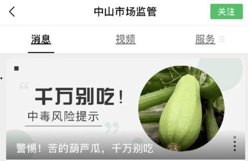 怀孕初期吃葫芦瓜,营养美味，助力宝宝健康成长