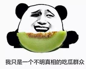 将错就错吃瓜群众,吃瓜群众见证一场意外喜剧