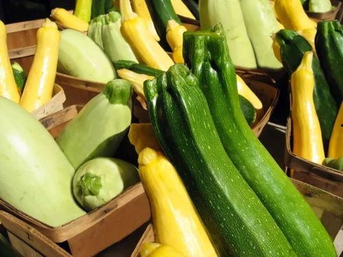 带你吃高端瓜,带你领略高端瓜果的奢华之旅