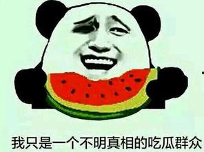 梁锐涵吃瓜群众,吃瓜群众的视角，揭秘娱乐圈风云