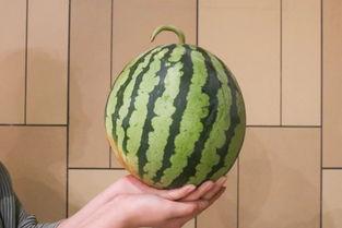 吃瓜鬼,揭秘吃瓜鬼背后的娱乐真相