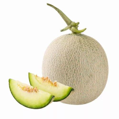 薄皮瓜怎么吃,轻松解锁美味新体验