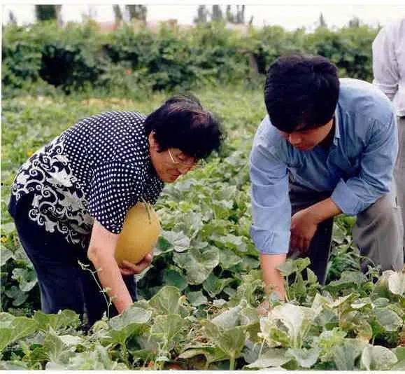 过年回家农村吃瓜,回家过年，共享农村瓜果盛宴