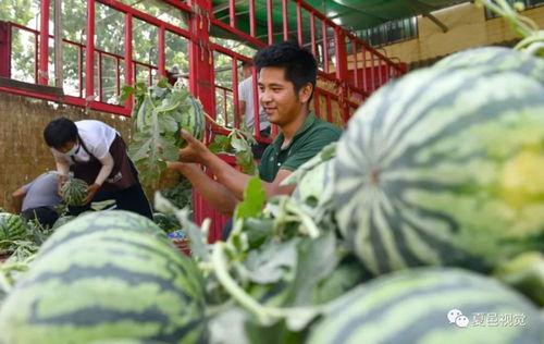 夏邑吃瓜事件,一场引发社会热议的街头冲突纪实