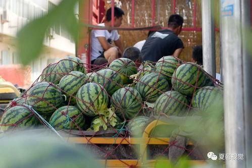 夏邑吃瓜事件,一场引发社会热议的街头冲突纪实