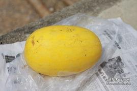 瑞丽吃瓜事件,揭秘网红圈内的惊人内幕