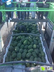 瑞丽吃瓜事件,揭秘网红圈内的惊人内幕