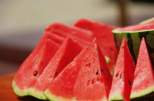 快乐吃瓜者,快乐吃瓜者的欢乐盛宴