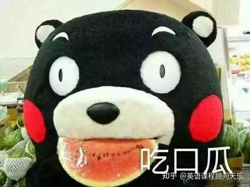 形容吃瓜的词语,盘点那些形容吃瓜的趣味词语