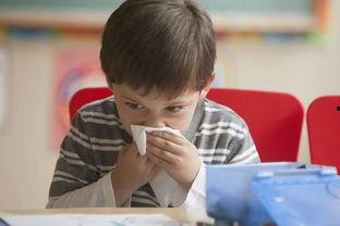 吃瓜的孩孩,吃瓜孩孩的趣味生活点滴