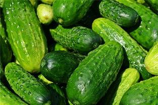 梦见吃别人送的瓜