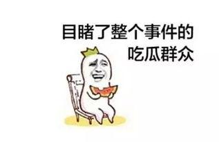 吃瓜后上班,轻松开启职场新一天