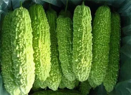 南宁大阳台吃瓜,夏日吃瓜盛宴，共享悠闲时光