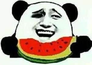 吃瓜群众不行了,娱乐圈风云再起，网友纷纷表示不行了！