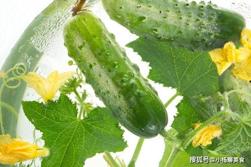 吃瓜生理不适,揭秘吃瓜生理不适之谜